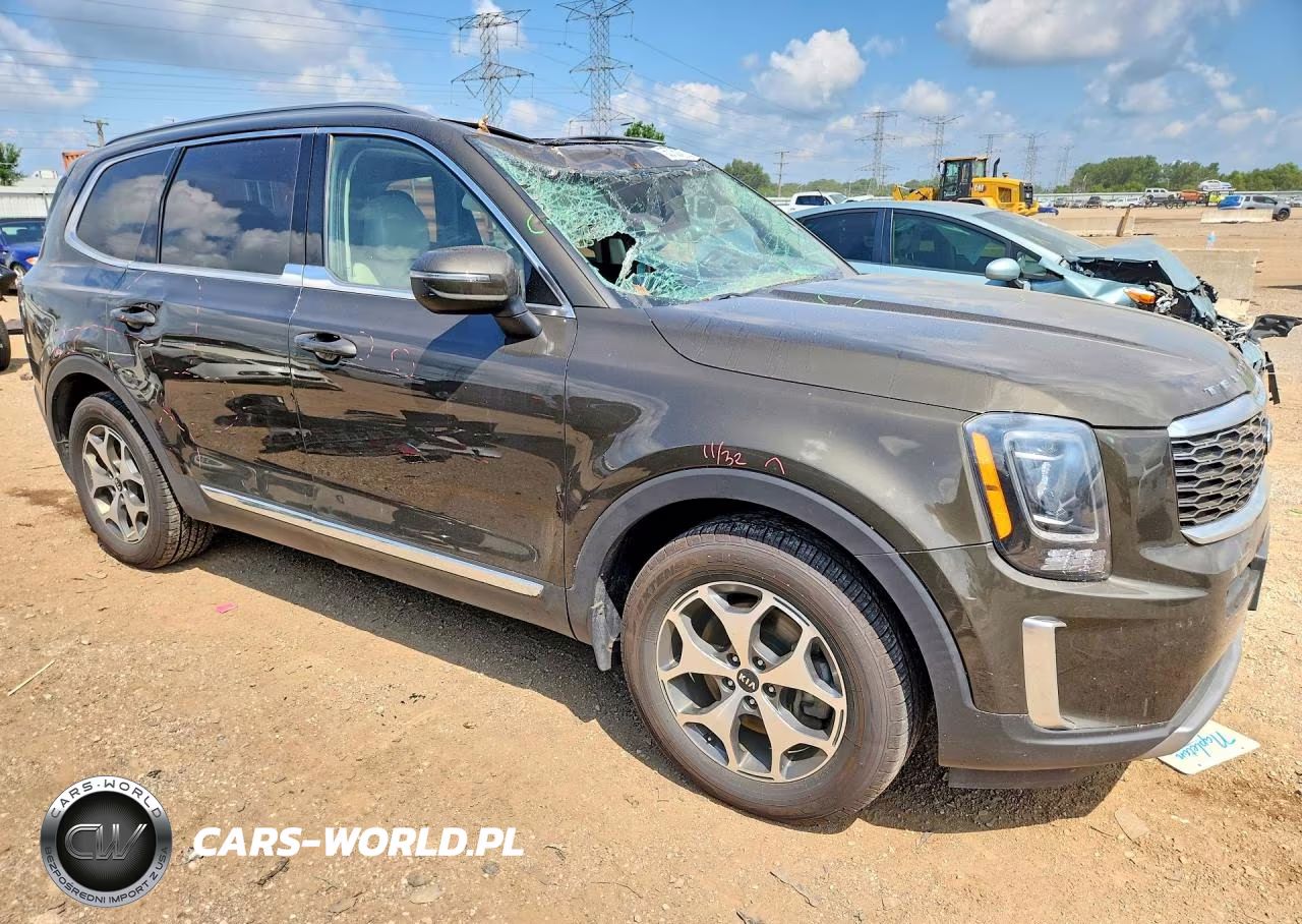 2020 Kia Telluride Ex VIN:5XYP3DHC8LG008924 - 4