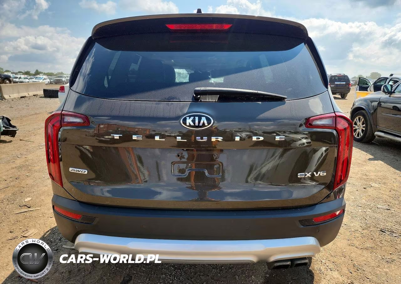 2020 Kia Telluride Ex VIN:5XYP3DHC8LG008924 - 6