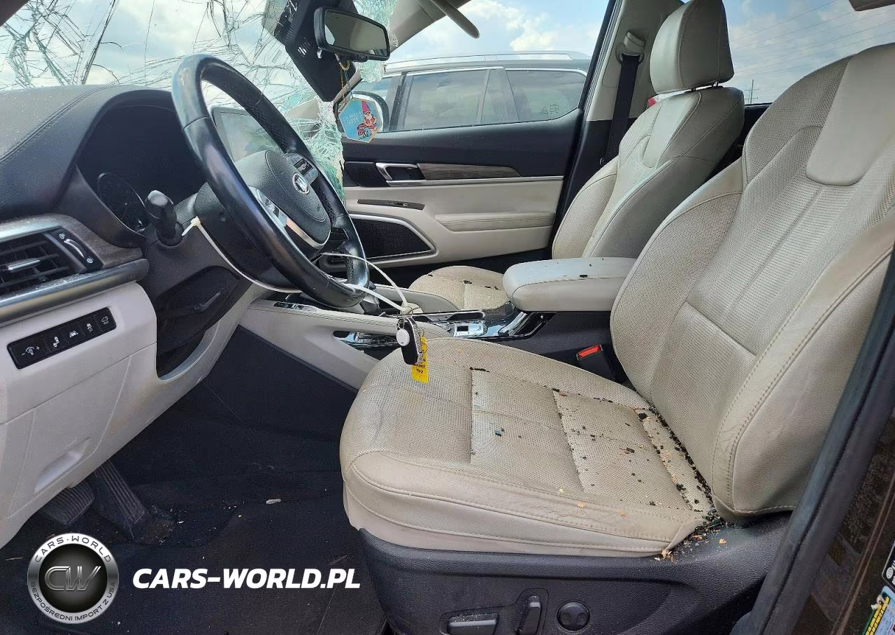 2020 Kia Telluride Ex VIN:5XYP3DHC8LG008924 - 7