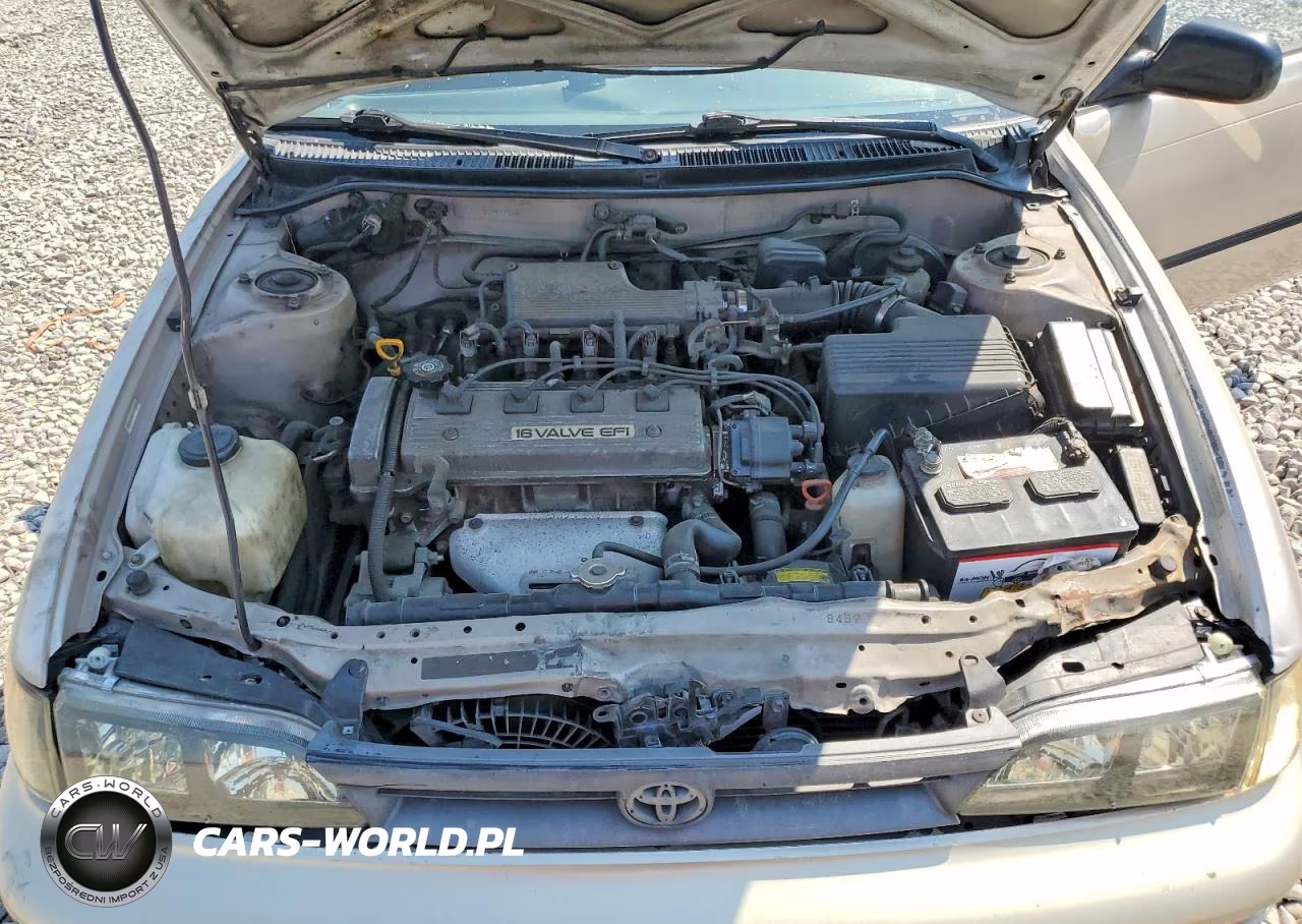 1994 Toyota Corolla Dx VIN:1NXAE09B6RZ204099 - 11