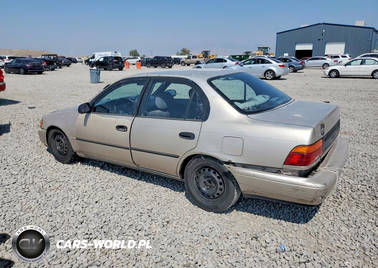 1994 Toyota Corolla Dx VIN:1NXAE09B6RZ204099 - 2