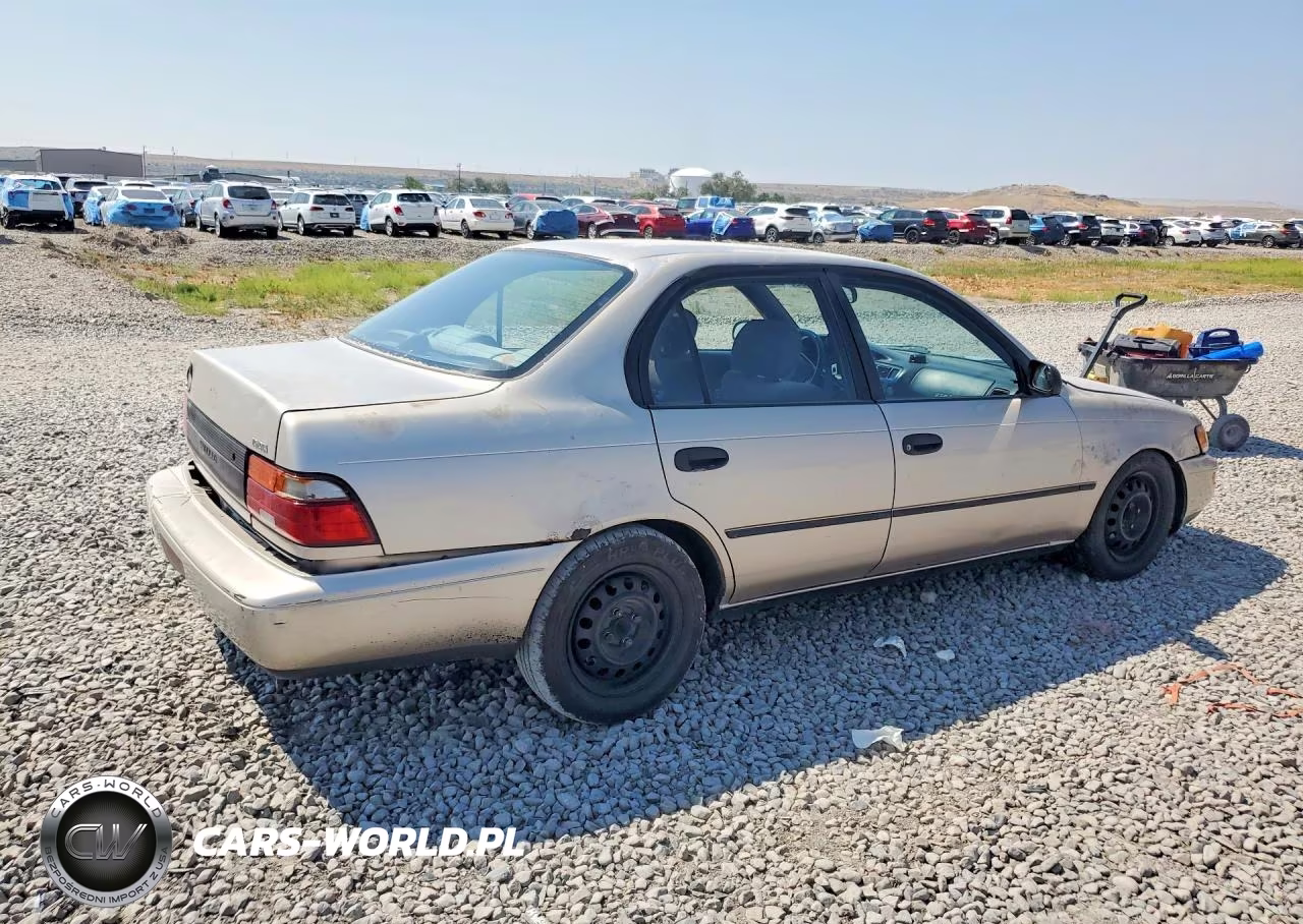 1994 Toyota Corolla Dx VIN:1NXAE09B6RZ204099 - 3