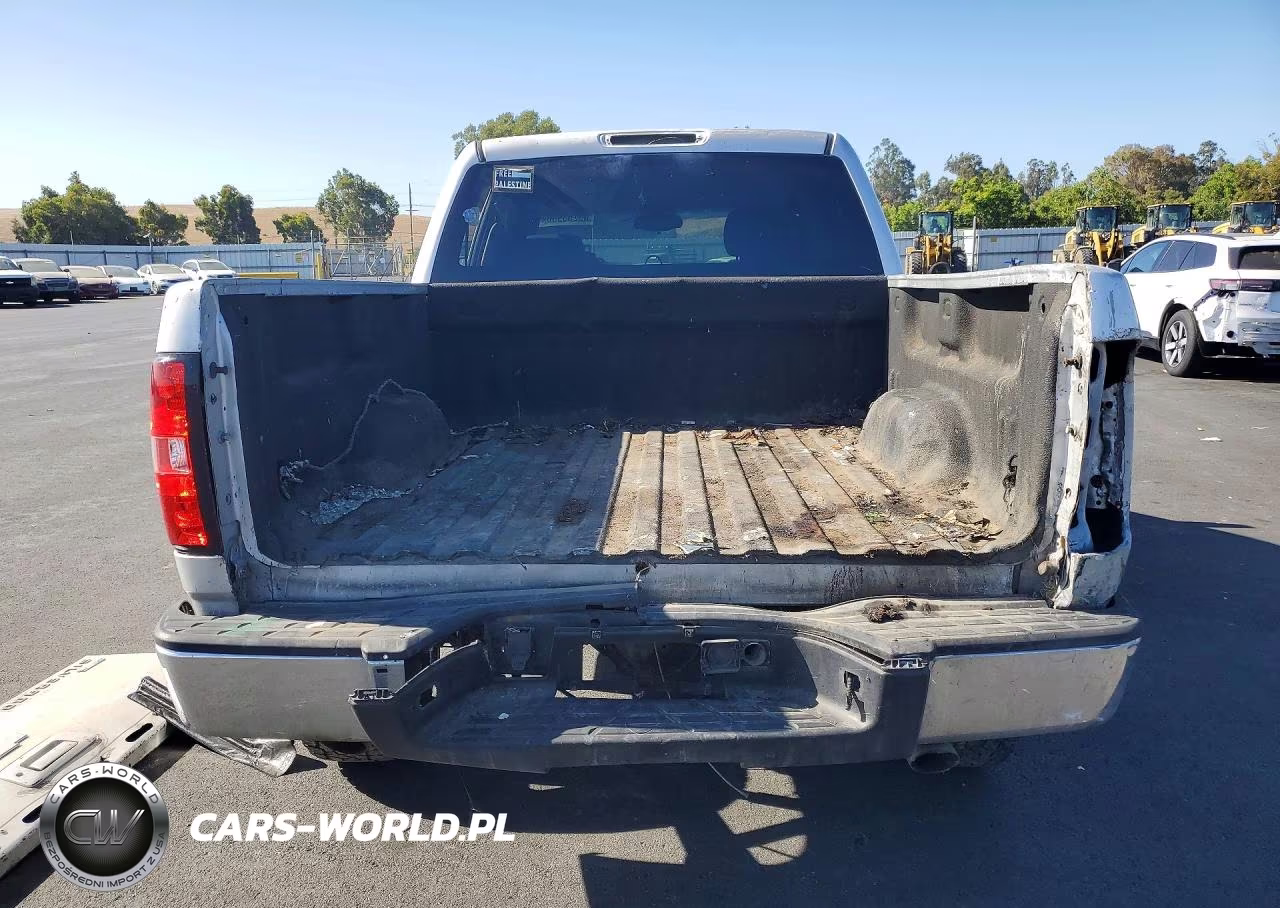 2010 Chevrolet Silverado C1500 Lt VIN:3GCRCSE08AG289306 - 6