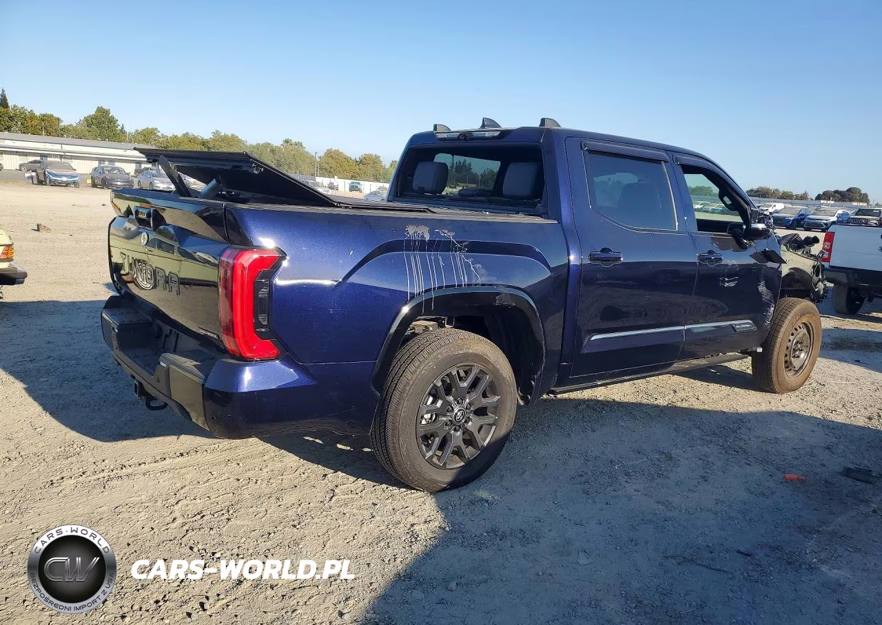 2025 Toyota Tundra Platinum Hv VIN:5TFNC5DB5SX100689 - 3
