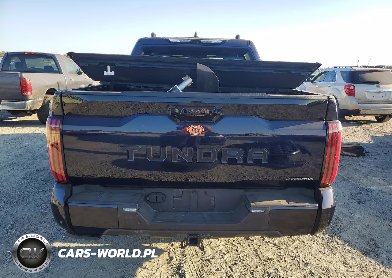 2025 Toyota Tundra Platinum Hv VIN:5TFNC5DB5SX100689 - 6