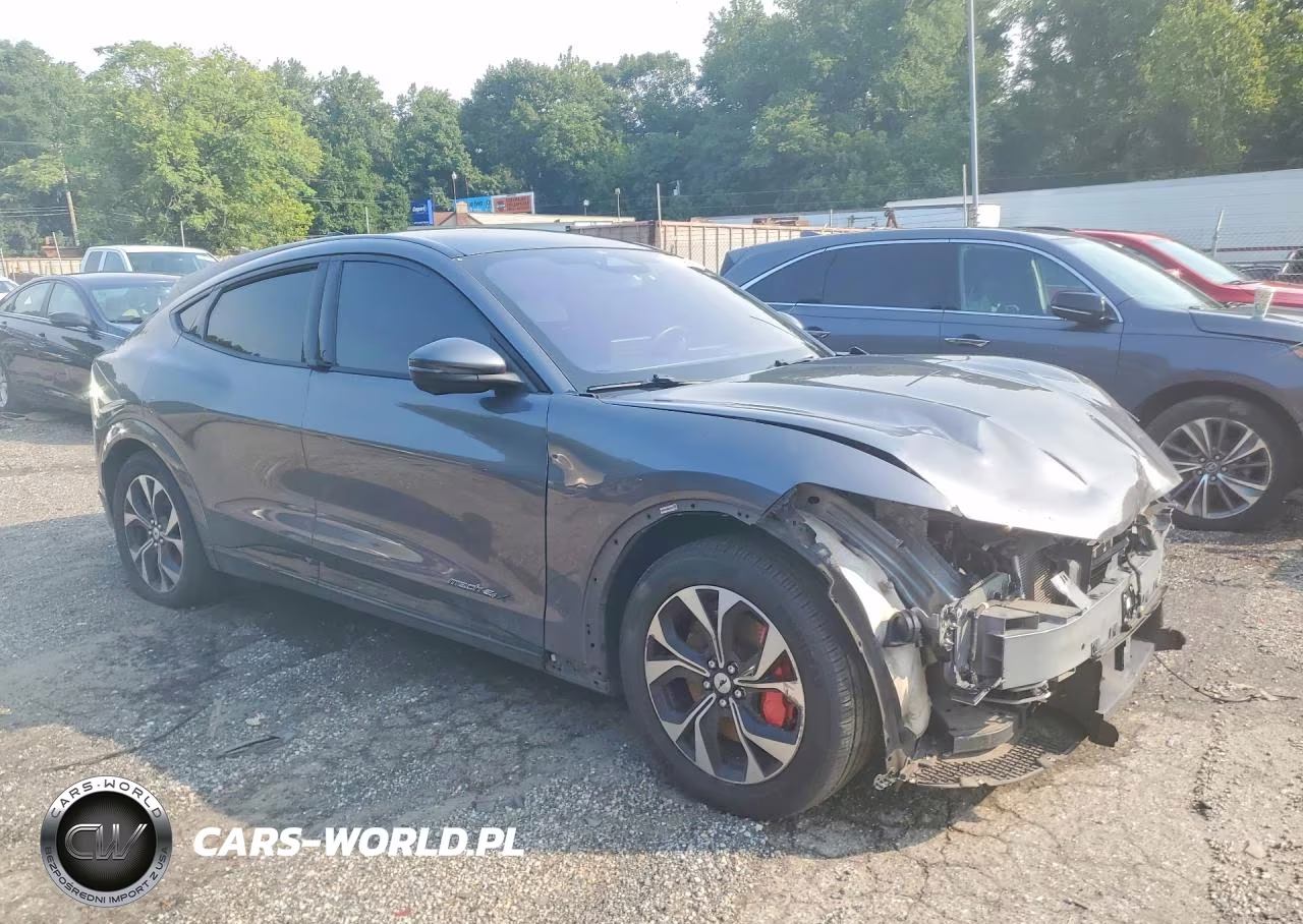 2021 Ford Mustang Mach-E Premium VIN:3FMTK3SU0MMA10132 - 4