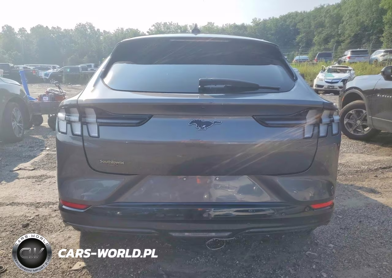 2021 Ford Mustang Mach-E Premium VIN:3FMTK3SU0MMA10132 - 6