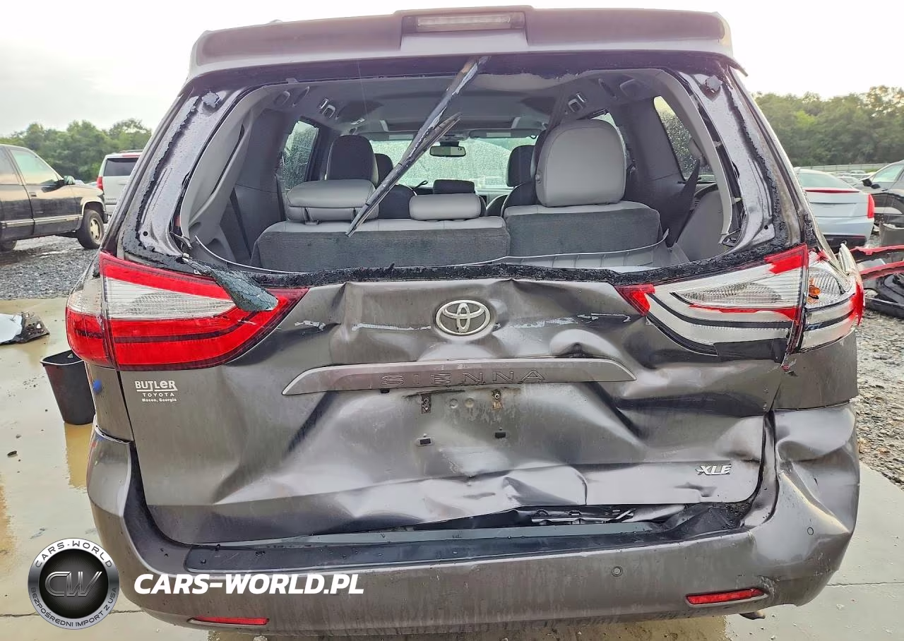 2018 Toyota Sienna Xle 8-Passenger VIN:5TDYZ3DC4JS958877 - 6