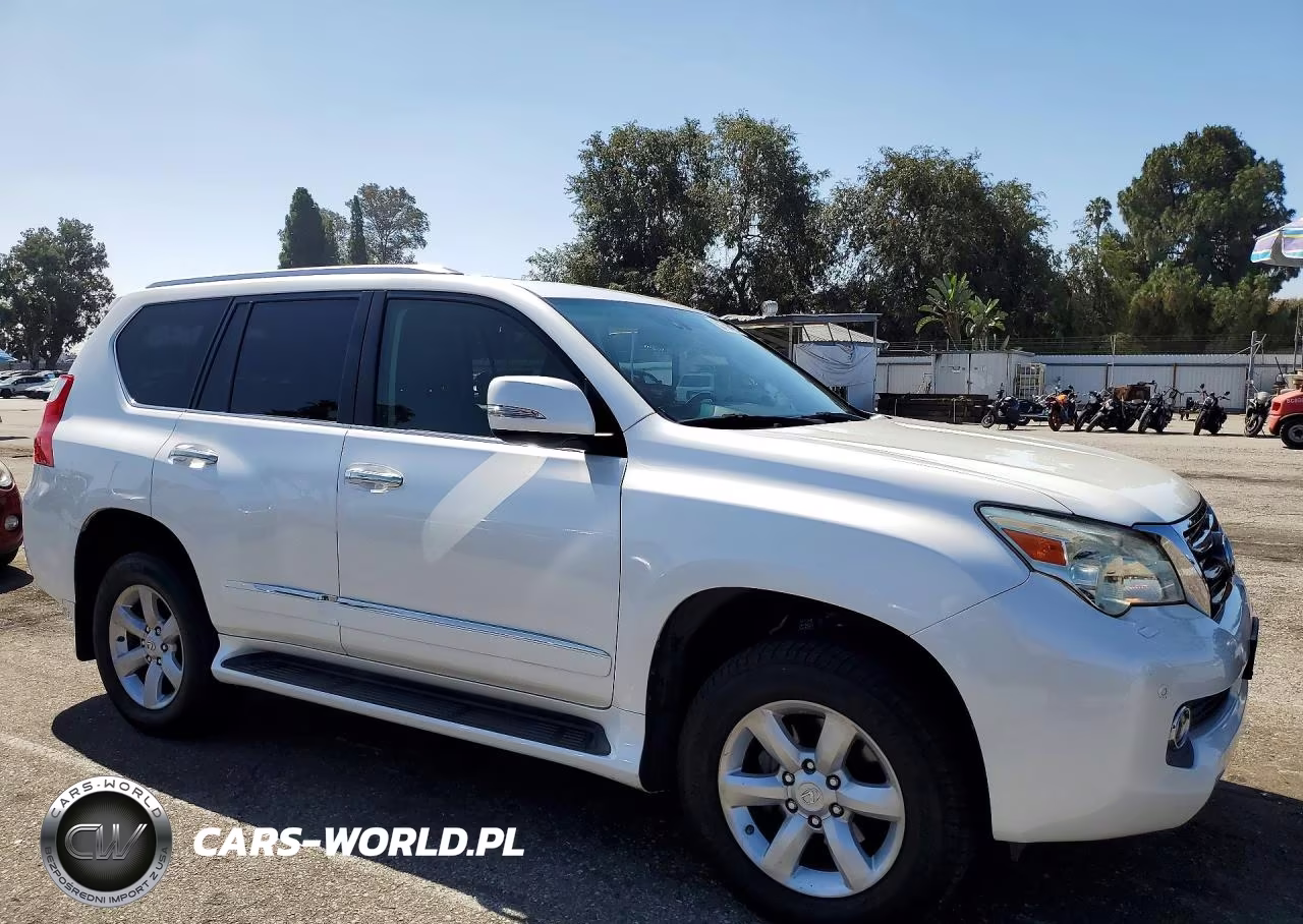 2010 Lexus Gx 460 Premium VIN:JTJJM7FX9A5007066 - 4