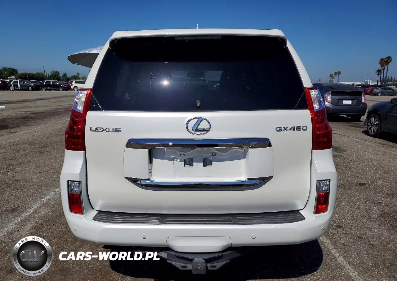 2010 Lexus Gx 460 Premium VIN:JTJJM7FX9A5007066 - 6