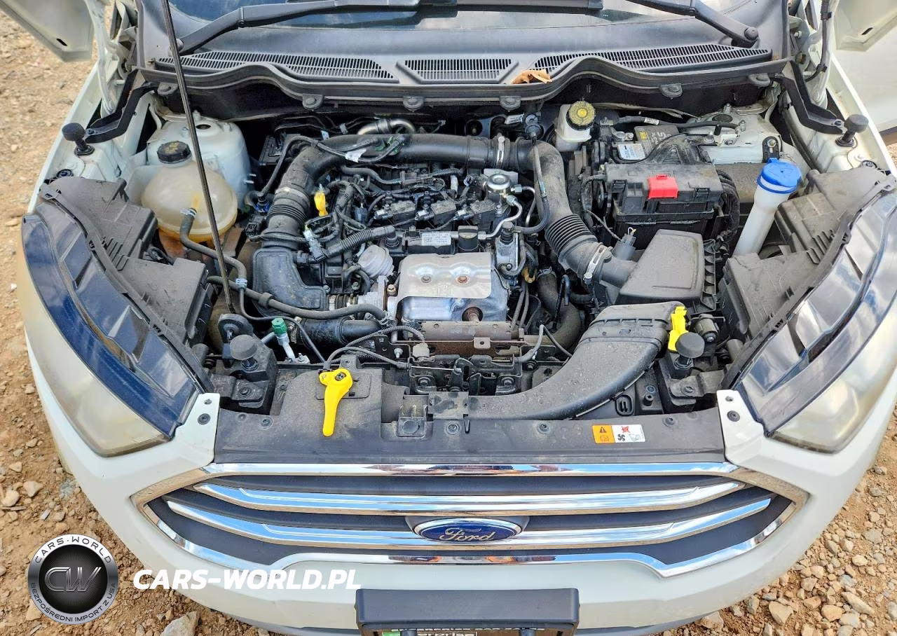 2021 Ford Ecosport Titanium VIN:MAJ3S2KE2MC402172 - 12