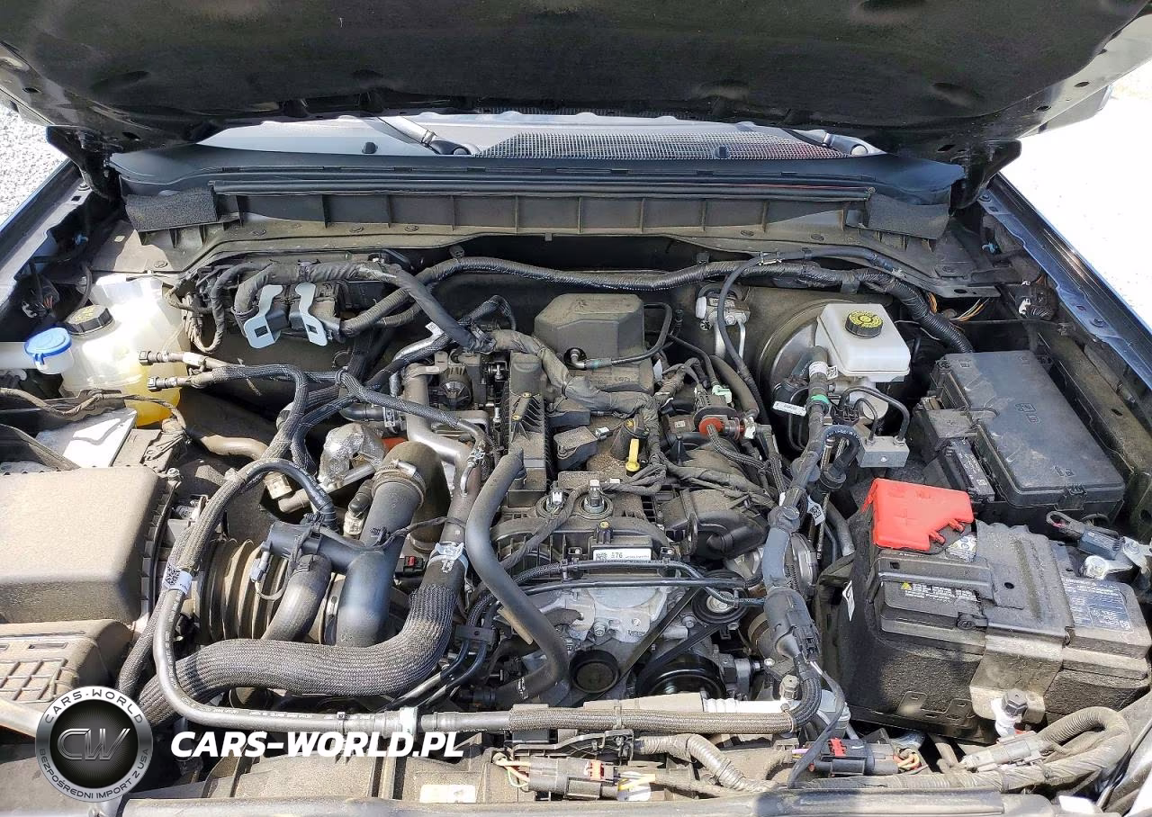 2024 Ford Bronco Outer Banks VIN:1FMDE8BH5RLB49080 - 12