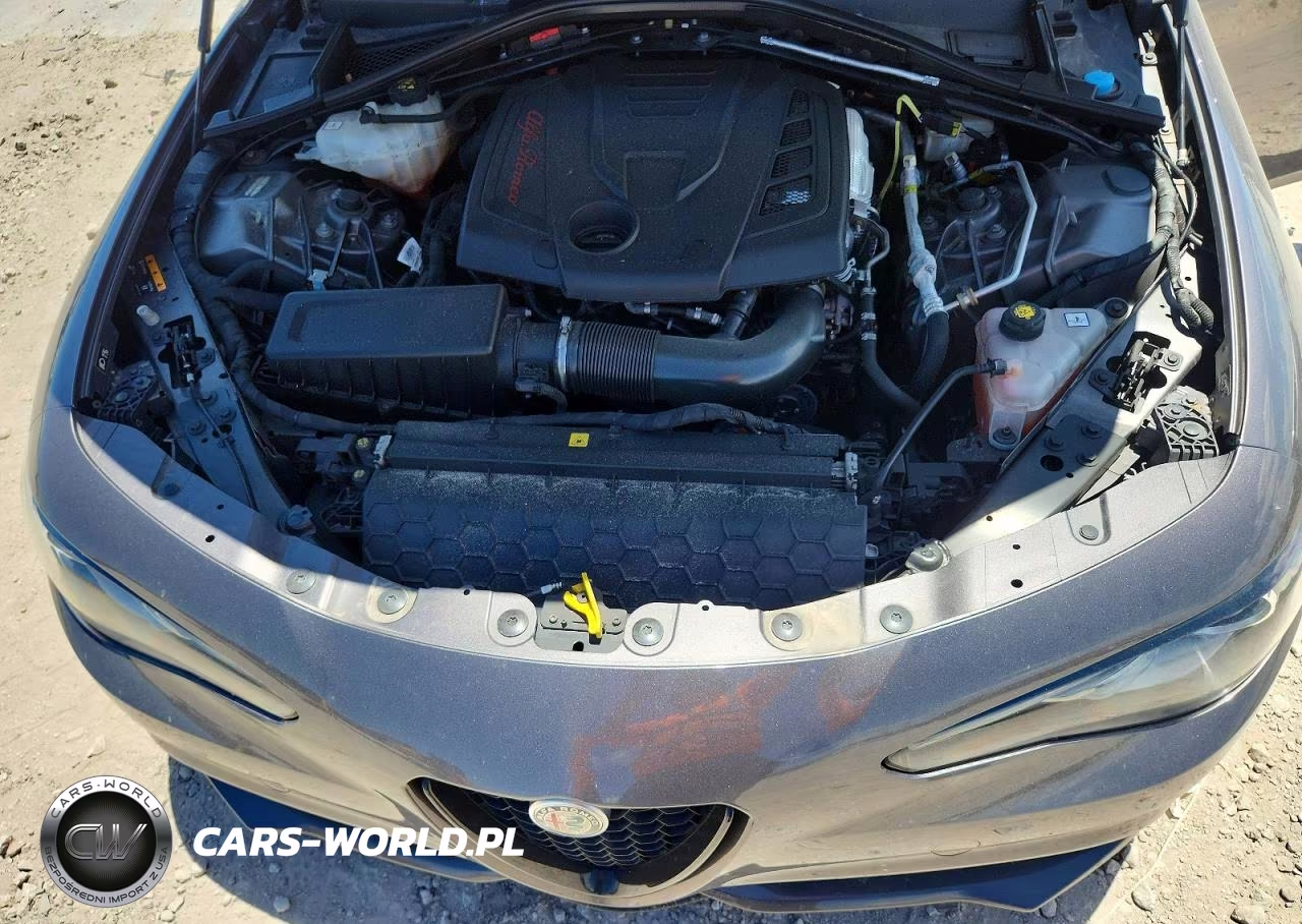 2020 Alfa Romeo Giulia Ti VIN:ZARFAMBN8L7624606 - 11