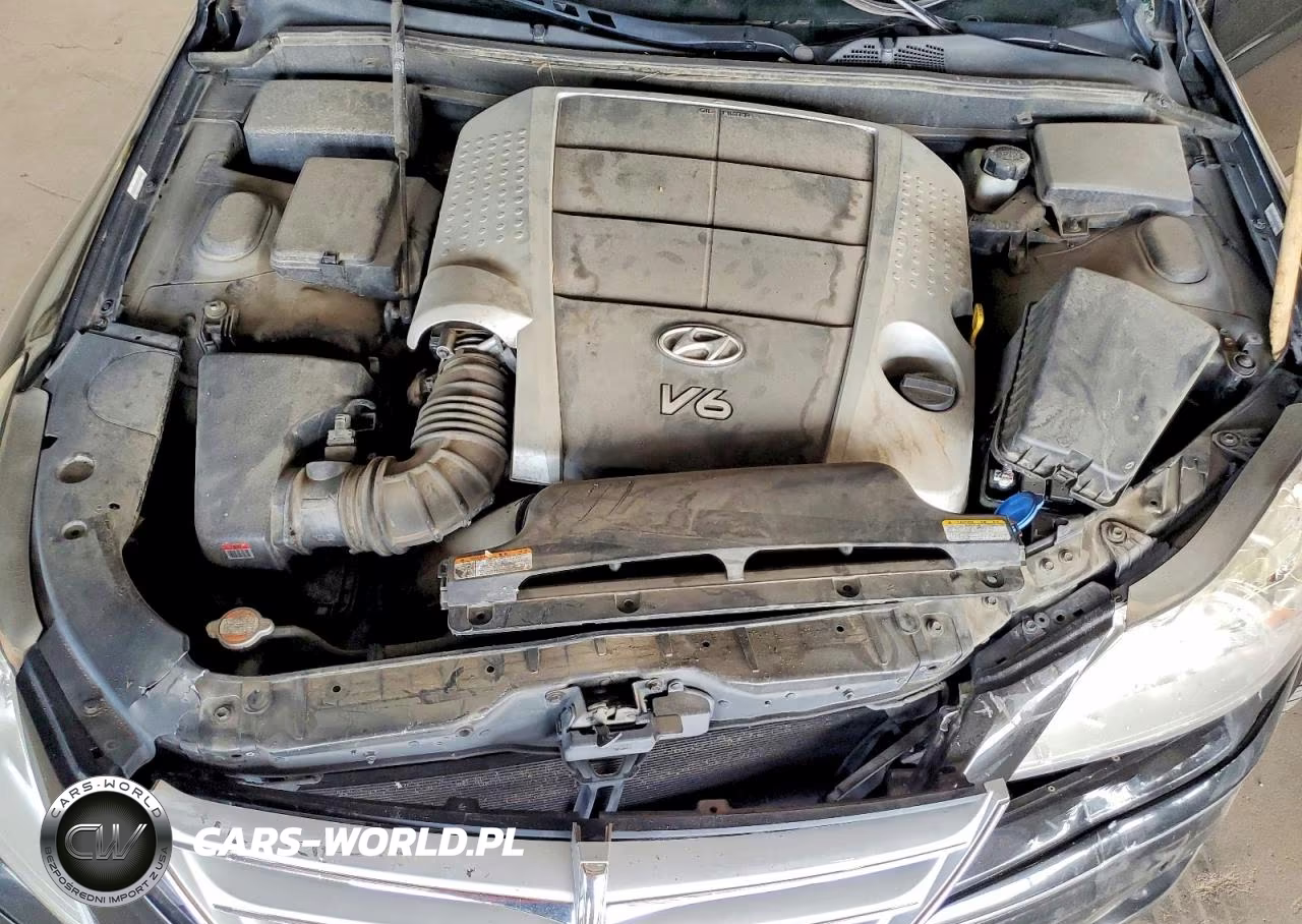 2010 Hyundai Genesis 3.8L VIN:KMHGC4DE9AU074266 - 11
