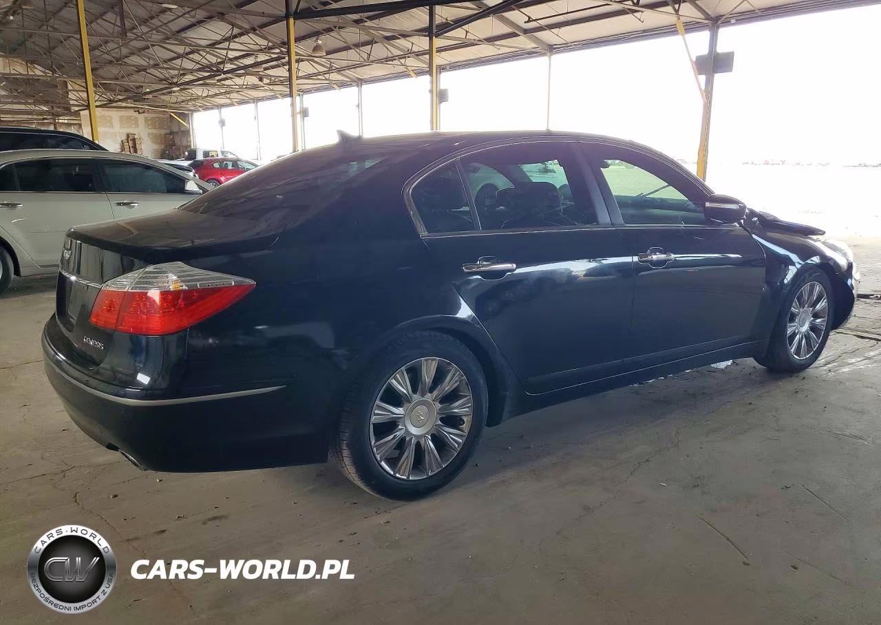 2010 Hyundai Genesis 3.8L VIN:KMHGC4DE9AU074266 - 3
