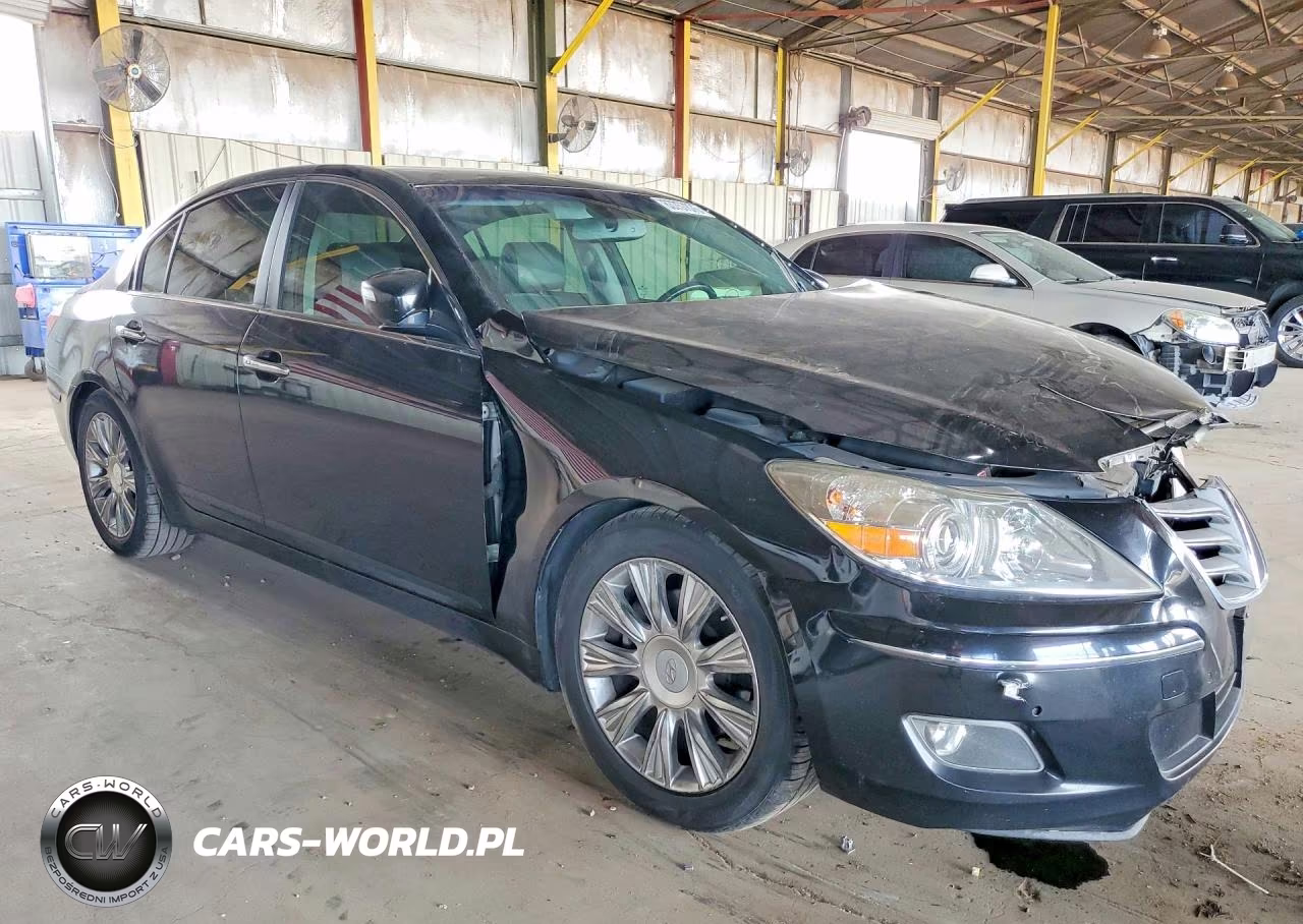 2010 Hyundai Genesis 3.8L VIN:KMHGC4DE9AU074266 - 4