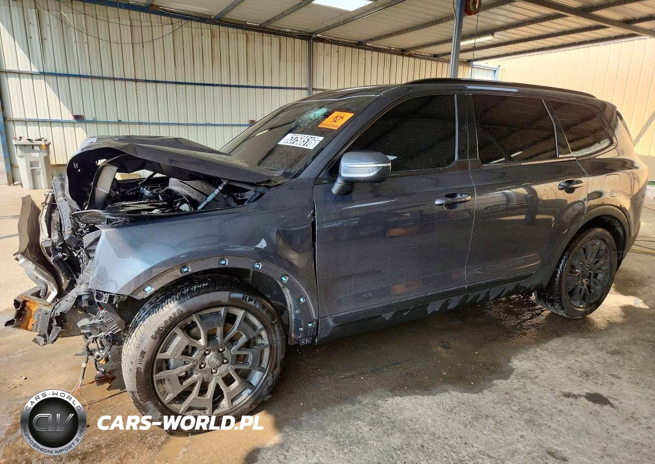 2021 Kia Telluride Ex VIN:5XYP3DHC2MG177046 - 1