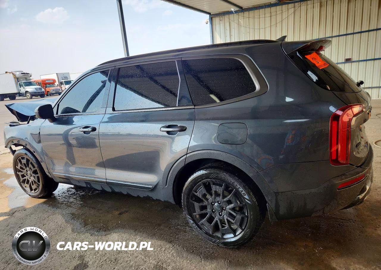 2021 Kia Telluride Ex VIN:5XYP3DHC2MG177046 - 2