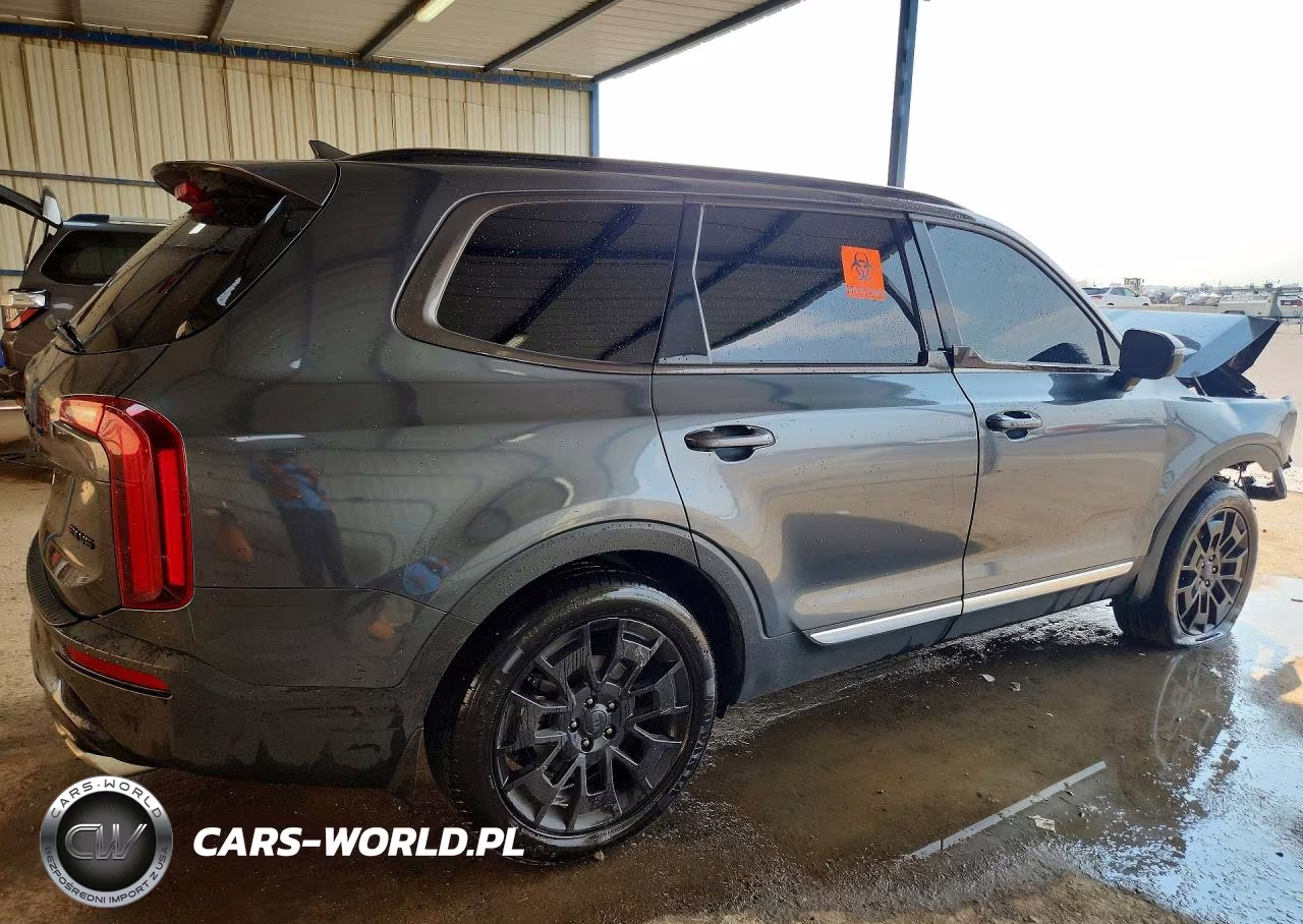 2021 Kia Telluride Ex VIN:5XYP3DHC2MG177046 - 3