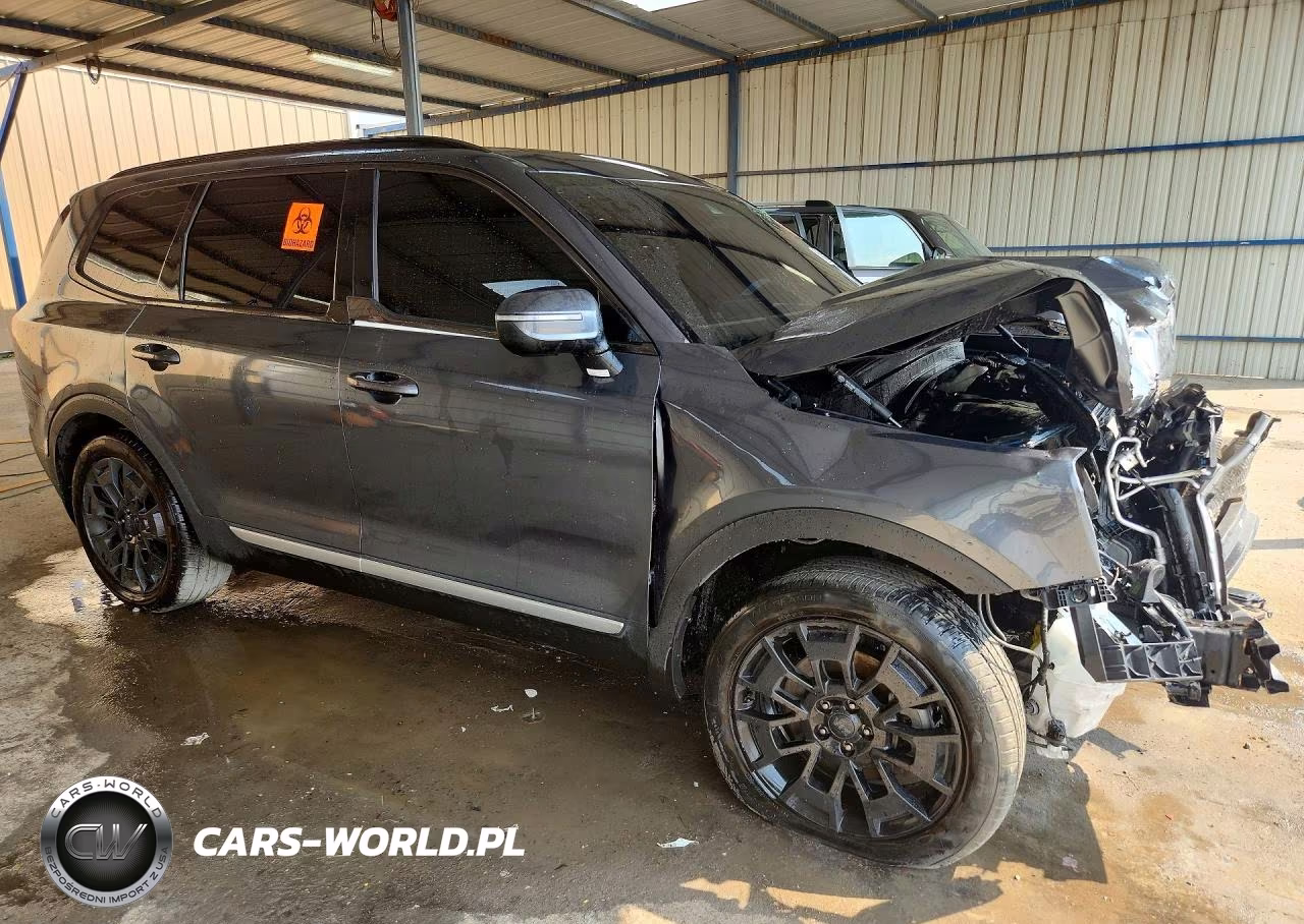 2021 Kia Telluride Ex VIN:5XYP3DHC2MG177046 - 4