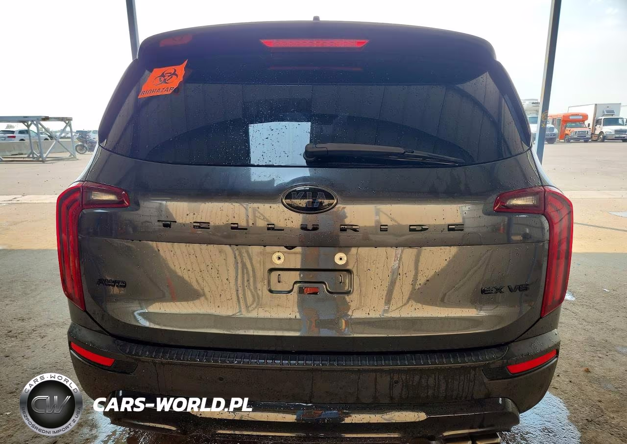 2021 Kia Telluride Ex VIN:5XYP3DHC2MG177046 - 6