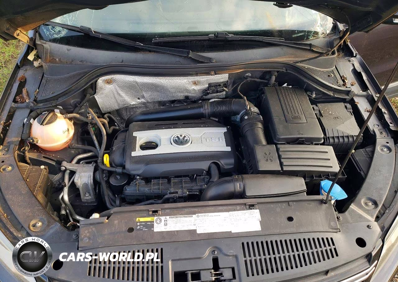 2016 Volkswagen Tiguan S VIN:WVGBV7AX6GW588925 - 12