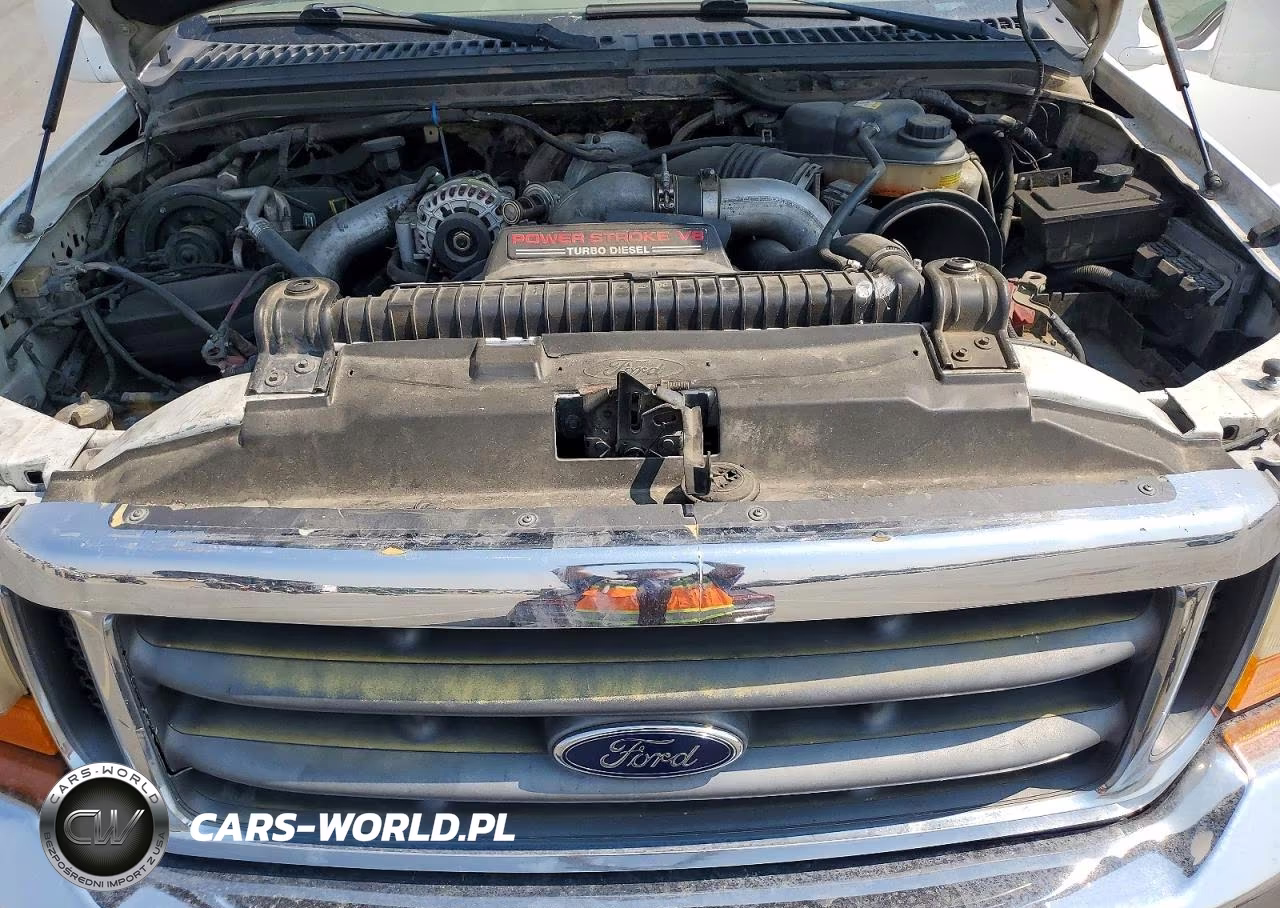 2003 Ford F350 Srw Super Duty VIN:1FTSW31P53EB47992 - 11