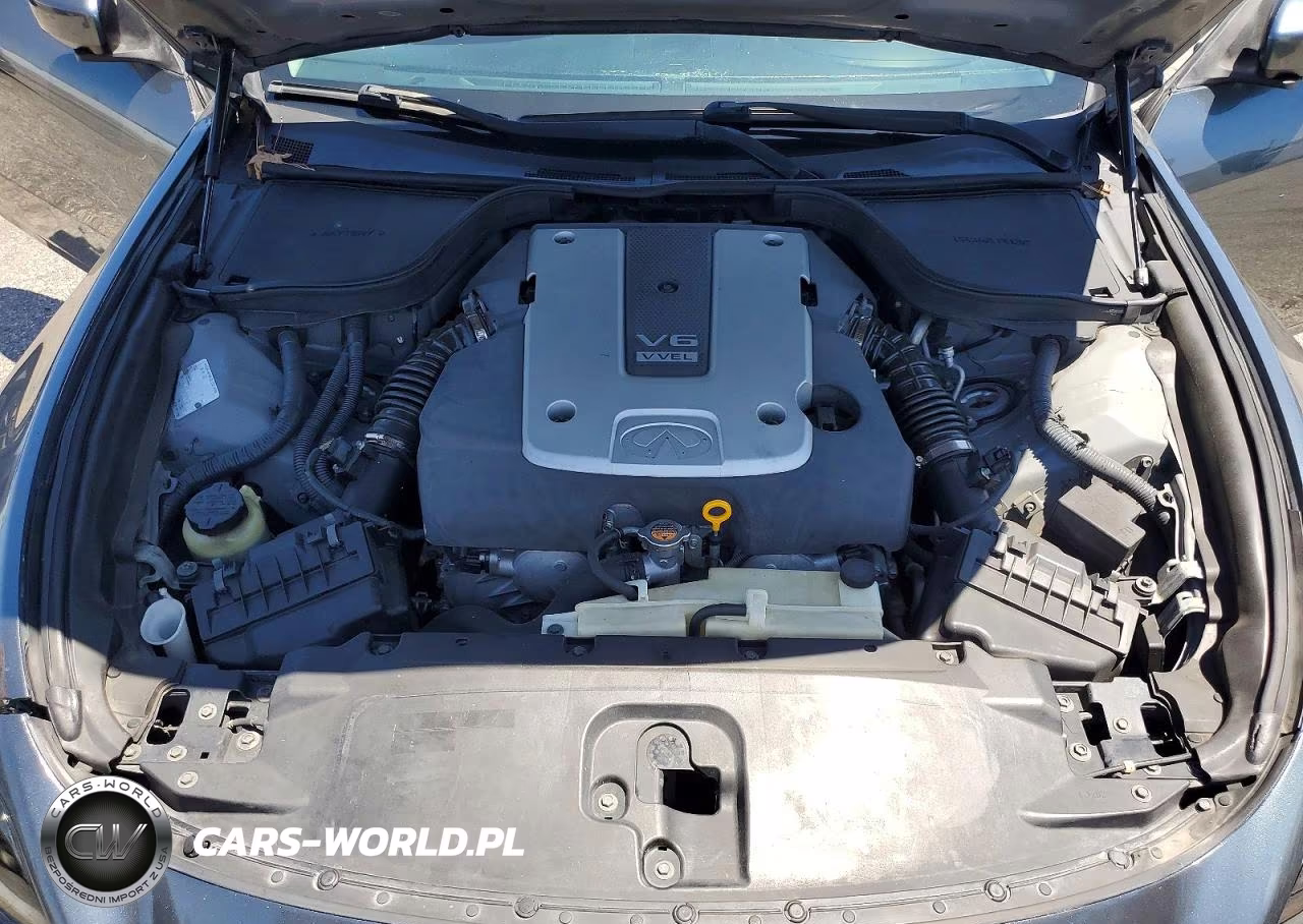2010 Infiniti G37 Convertible Base VIN:JN1CV6FE1AM351159 - 11