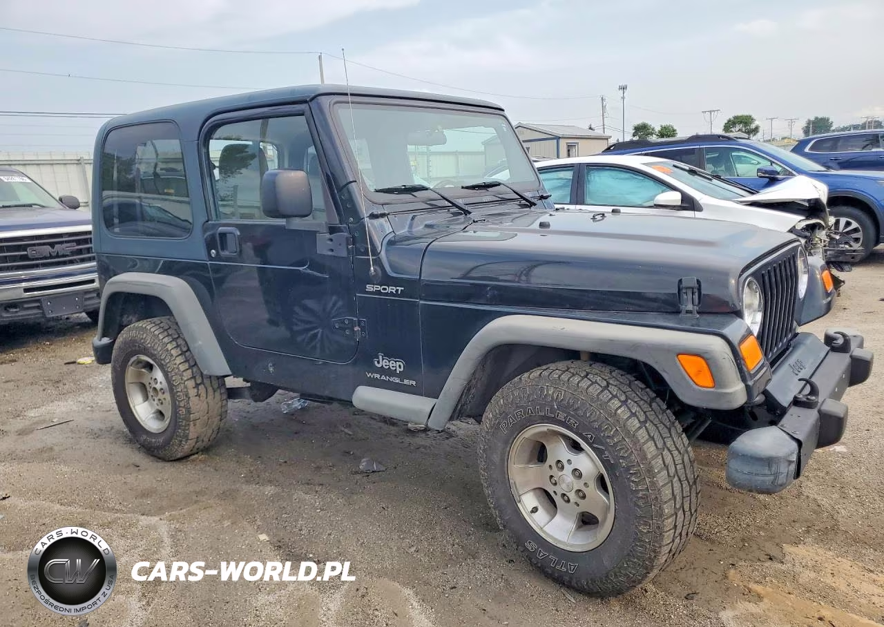 2003 Jeep Wrangler - Tj Sport VIN:1J4FA49S23P365370 - 4