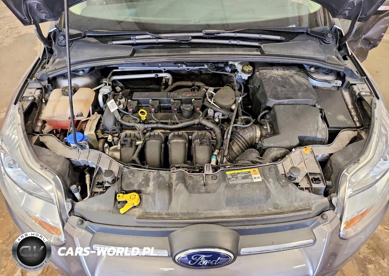 2014 Ford Focus Se VIN:1FADP3F29EL194675 - 11