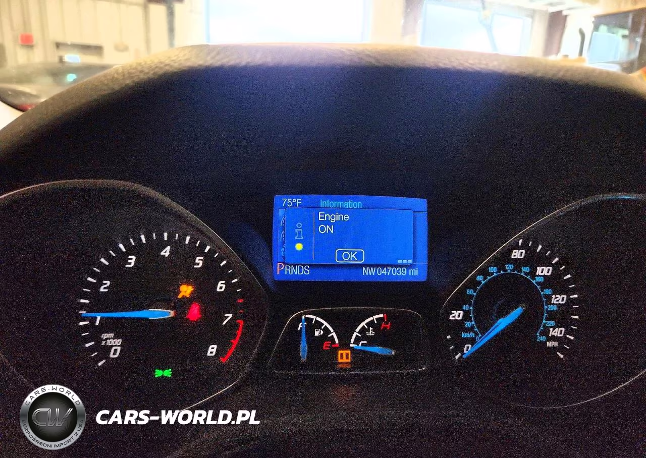2014 Ford Focus Se VIN:1FADP3F29EL194675 - 9