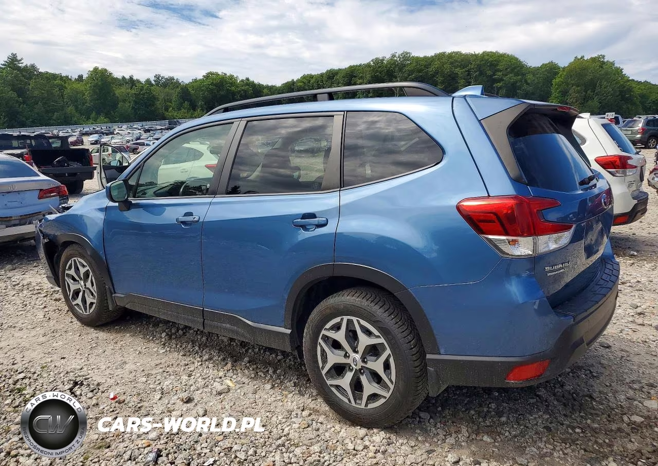 2019 Subaru Forester Premium VIN:JF2SKAEC2KH454073 - 2