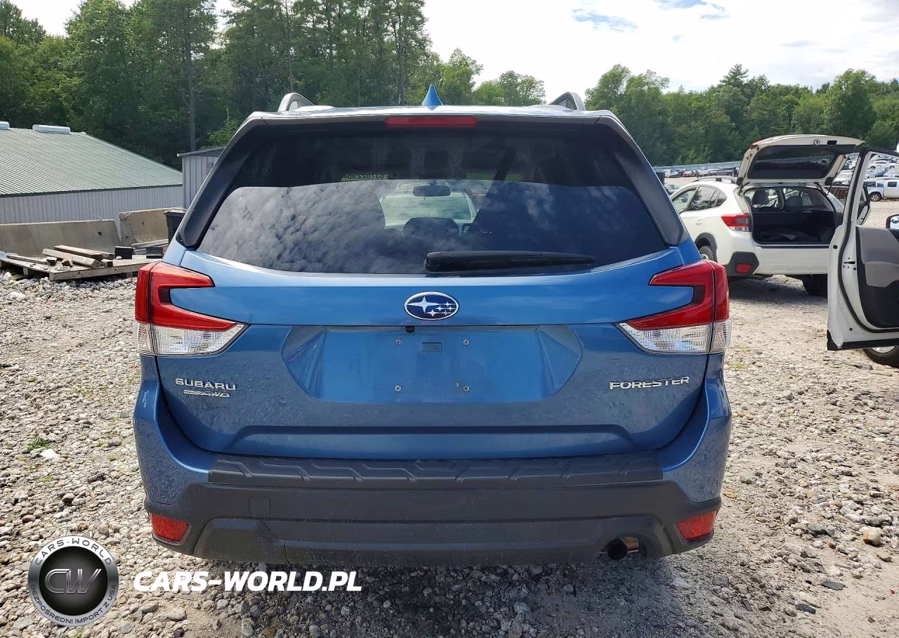 2019 Subaru Forester Premium VIN:JF2SKAEC2KH454073 - 6