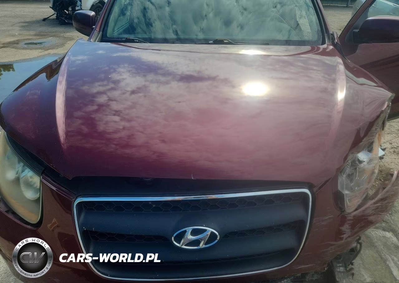 2007 Hyundai Santa Fe Gls VIN:5NMSG73D17H052114 - 12