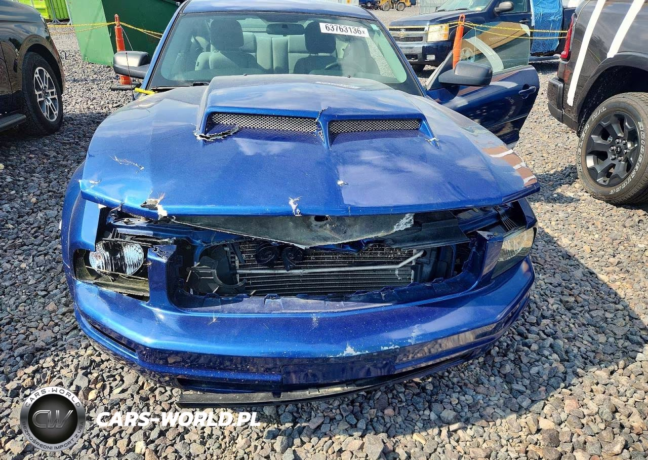2008 Ford Mustang VIN:1ZVHT80N085137438 - 11