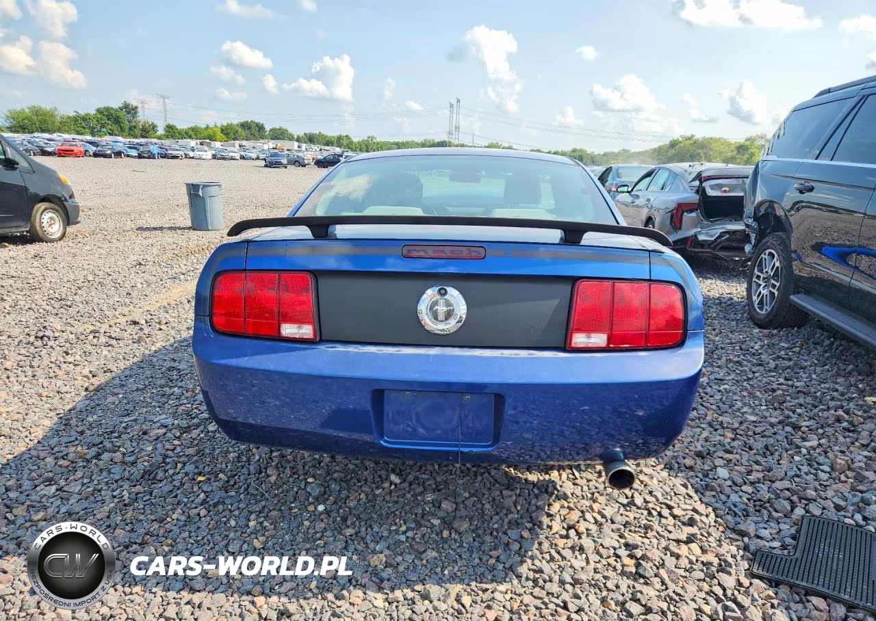 2008 Ford Mustang VIN:1ZVHT80N085137438 - 6