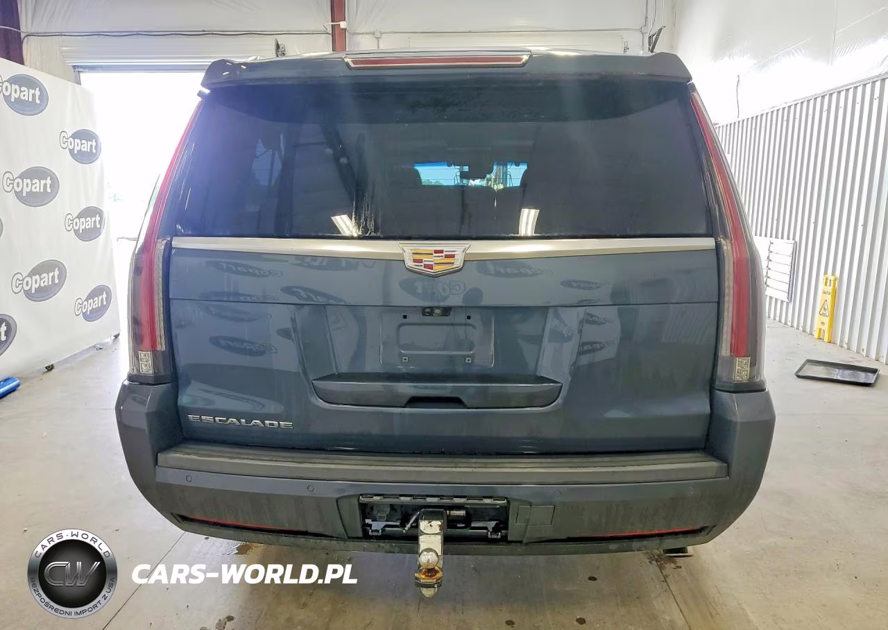 2019 Cadillac Escalade Esv Premium Luxury VIN:1GYS4JKJ9KR172352 - 6