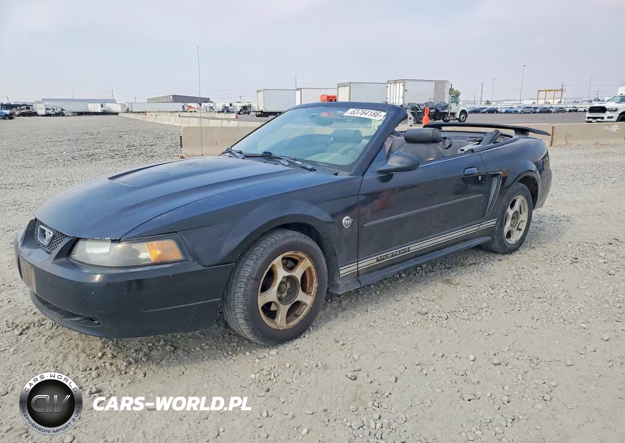2004 Ford Mustang – zdjęcie 1 z 13