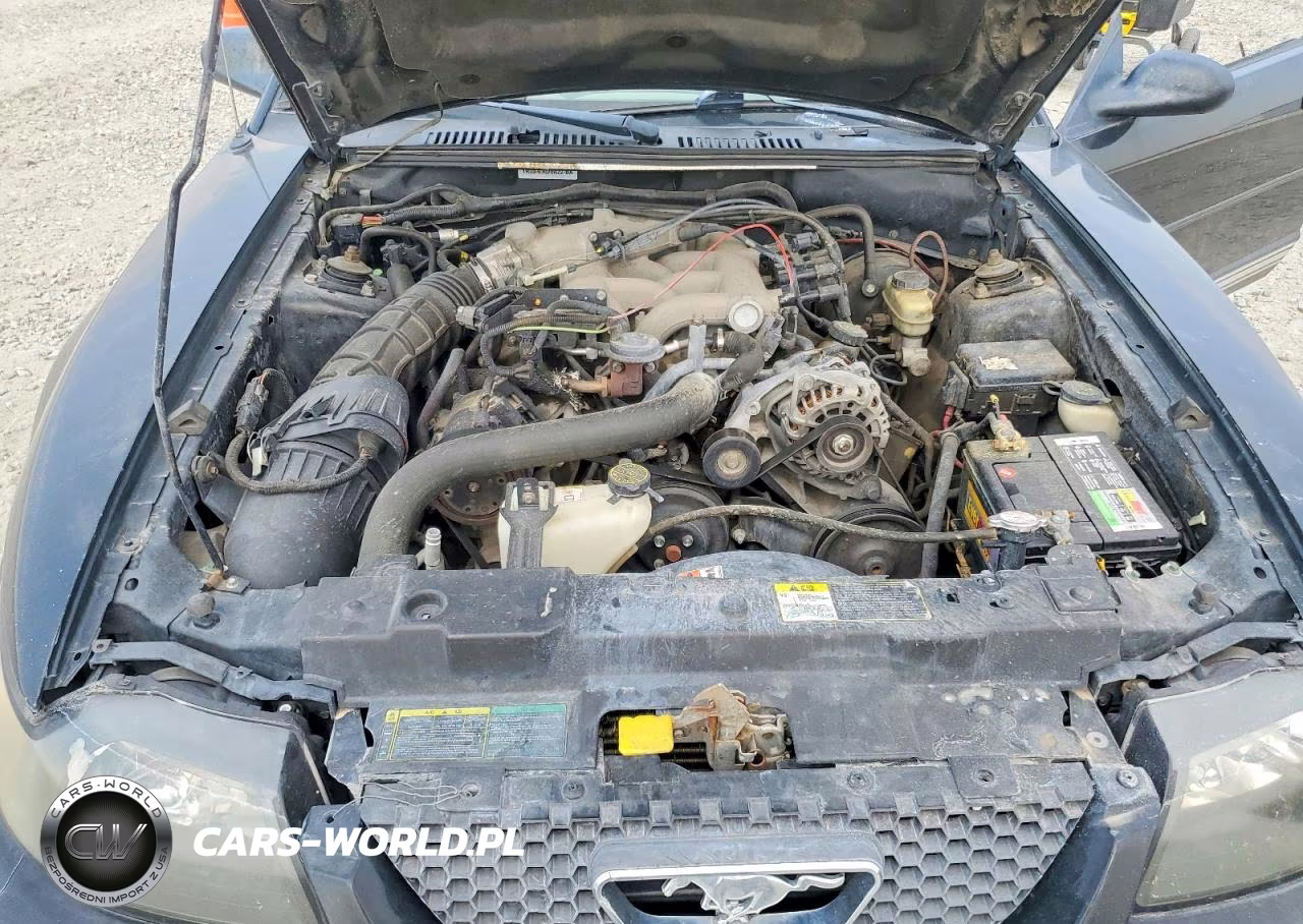 2004 Ford Mustang VIN:1FAFP44684F179263 - 11