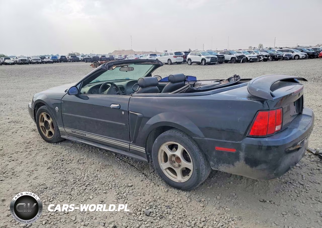 2004 Ford Mustang VIN:1FAFP44684F179263 - 2