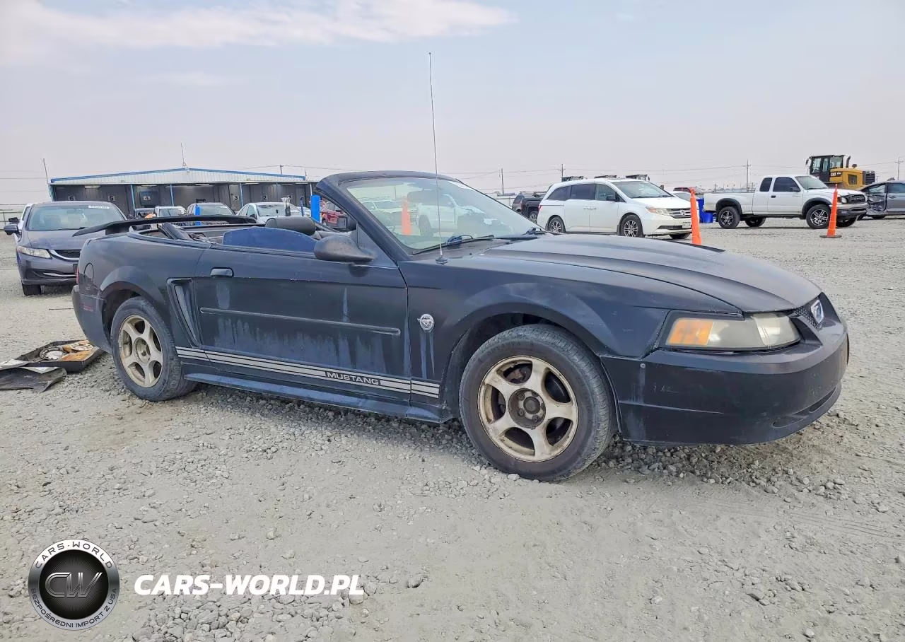 2004 Ford Mustang VIN:1FAFP44684F179263 - 4