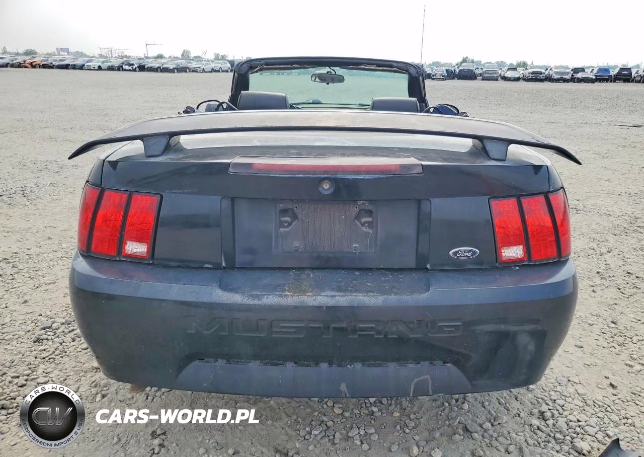 2004 Ford Mustang VIN:1FAFP44684F179263 - 6