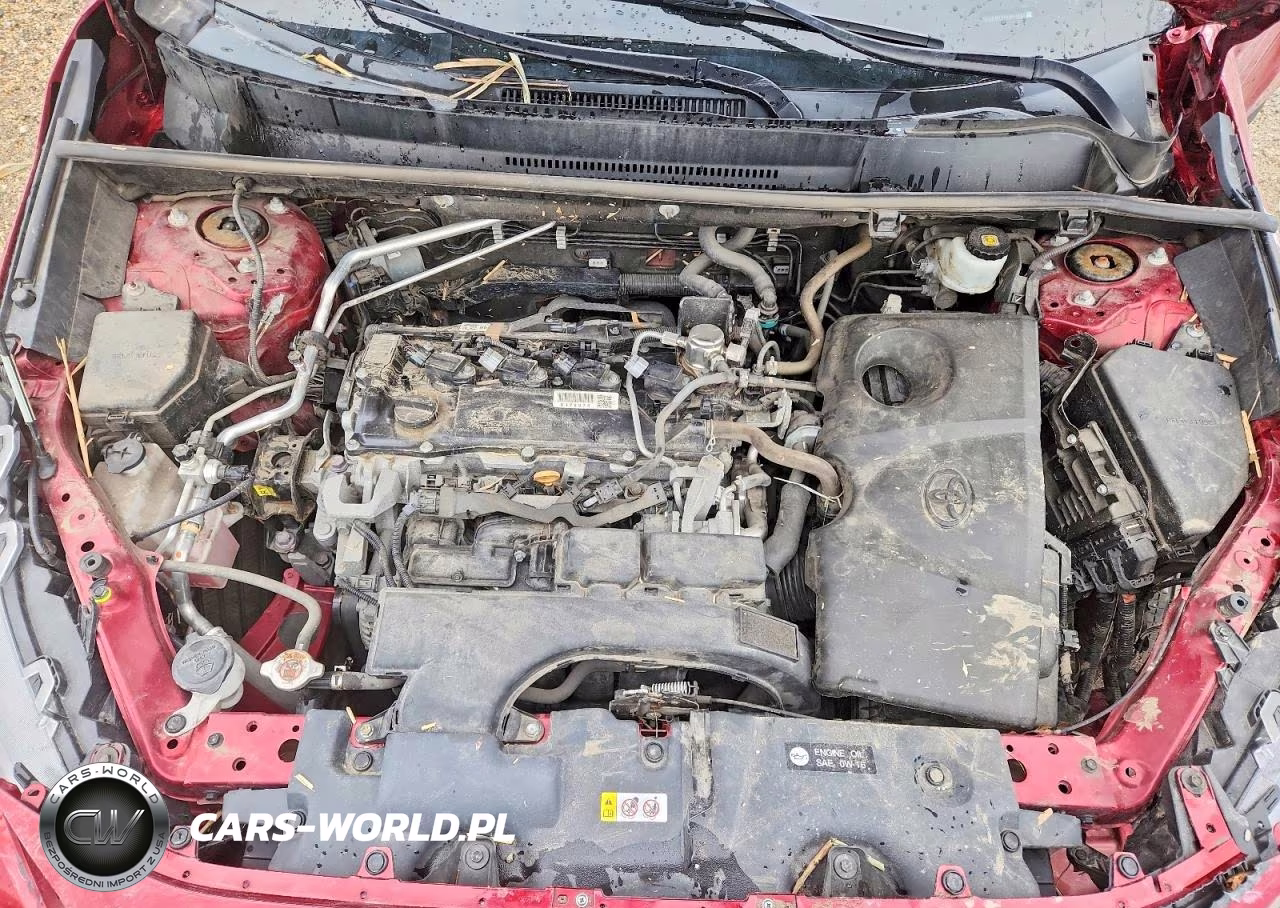 2019 Toyota Rav4 Xle VIN:2T3P1RFV8KW045608 - 12