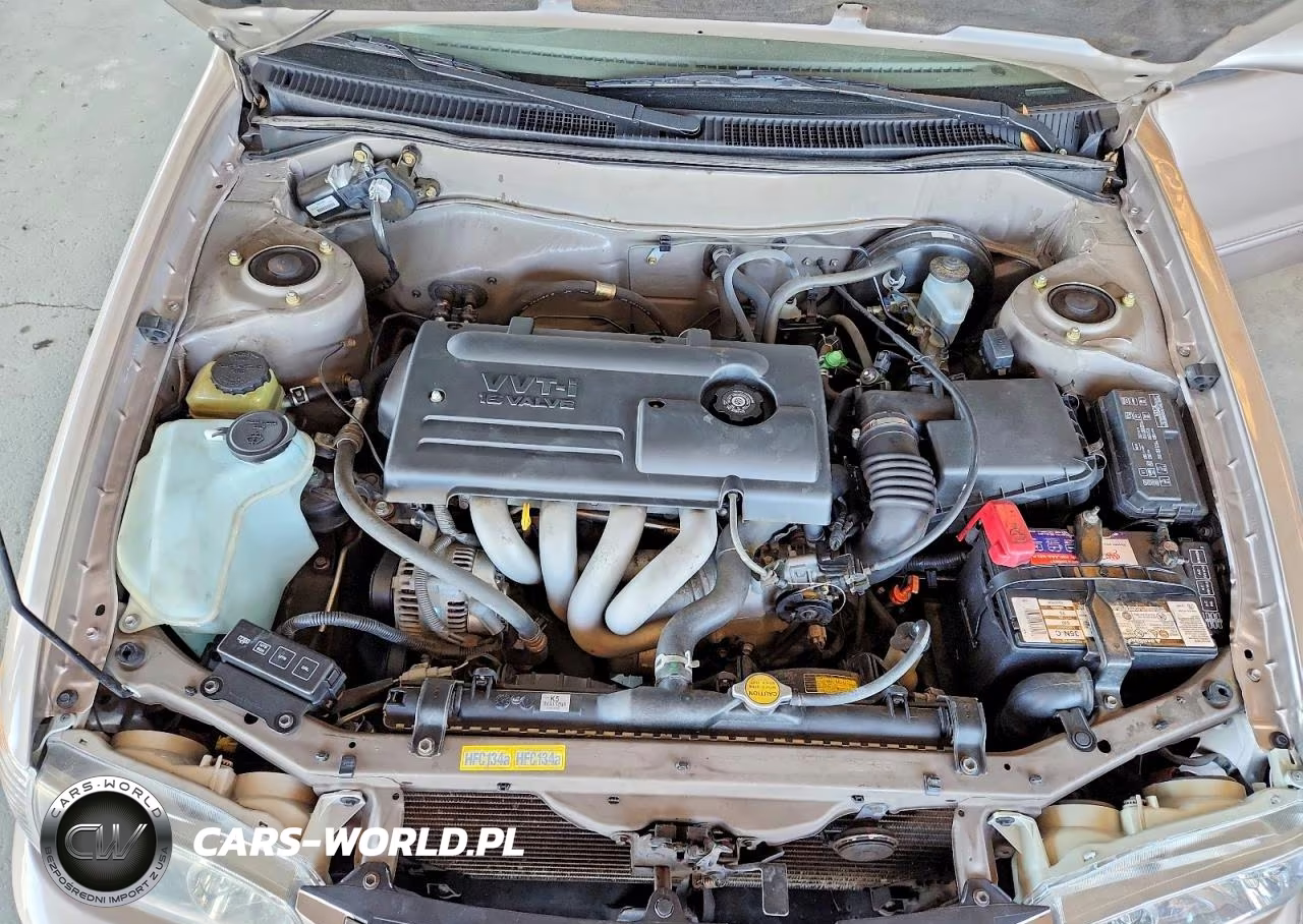 2001 Toyota Corolla Le VIN:1NXBR12E71Z456662 - 11