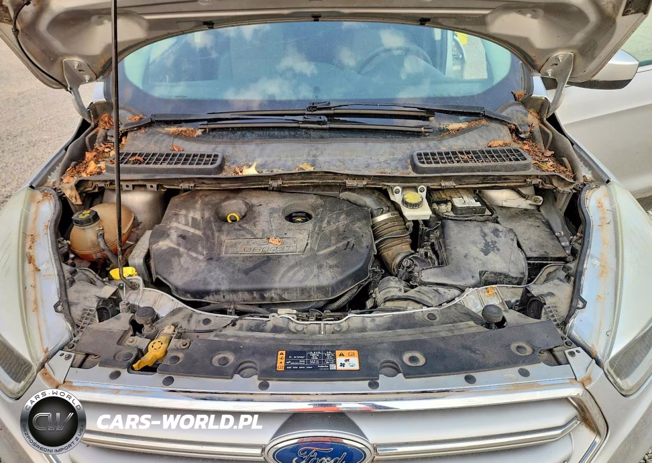 2017 Ford Escape Se VIN:1FMCU9G93HUB67432 - 12