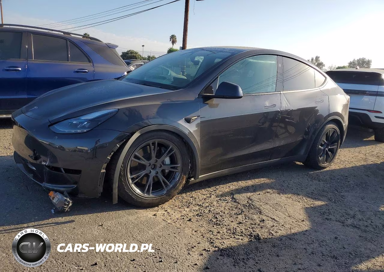 2025 Tesla Model Y VIN:7SAYGDEE0SF216643 - 1