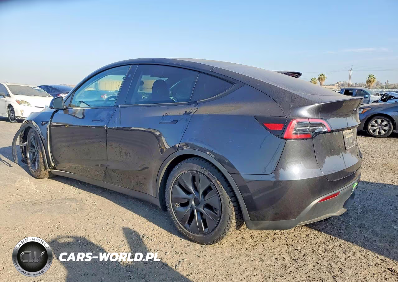 2025 Tesla Model Y VIN:7SAYGDEE0SF216643 - 2