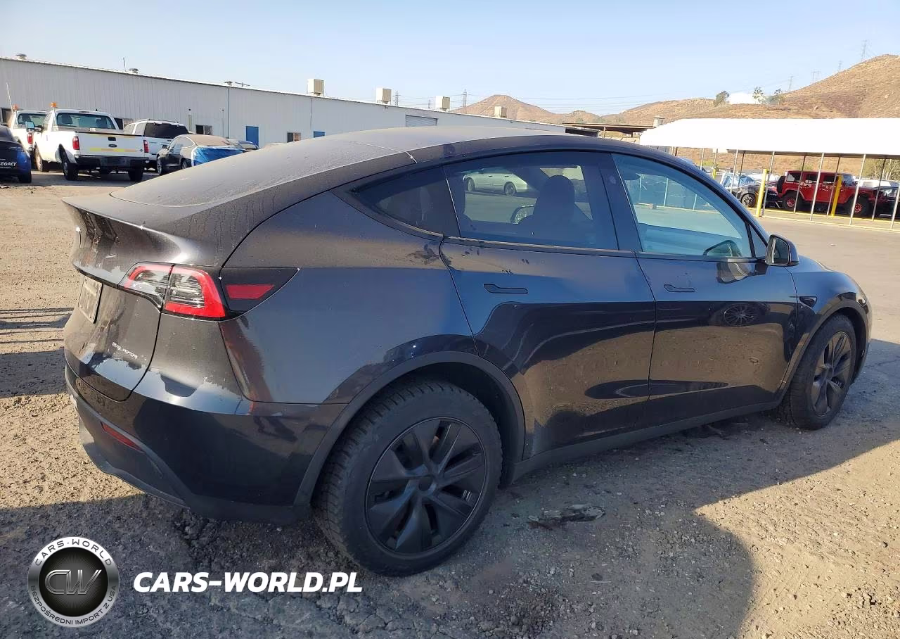 2025 Tesla Model Y VIN:7SAYGDEE0SF216643 - 3