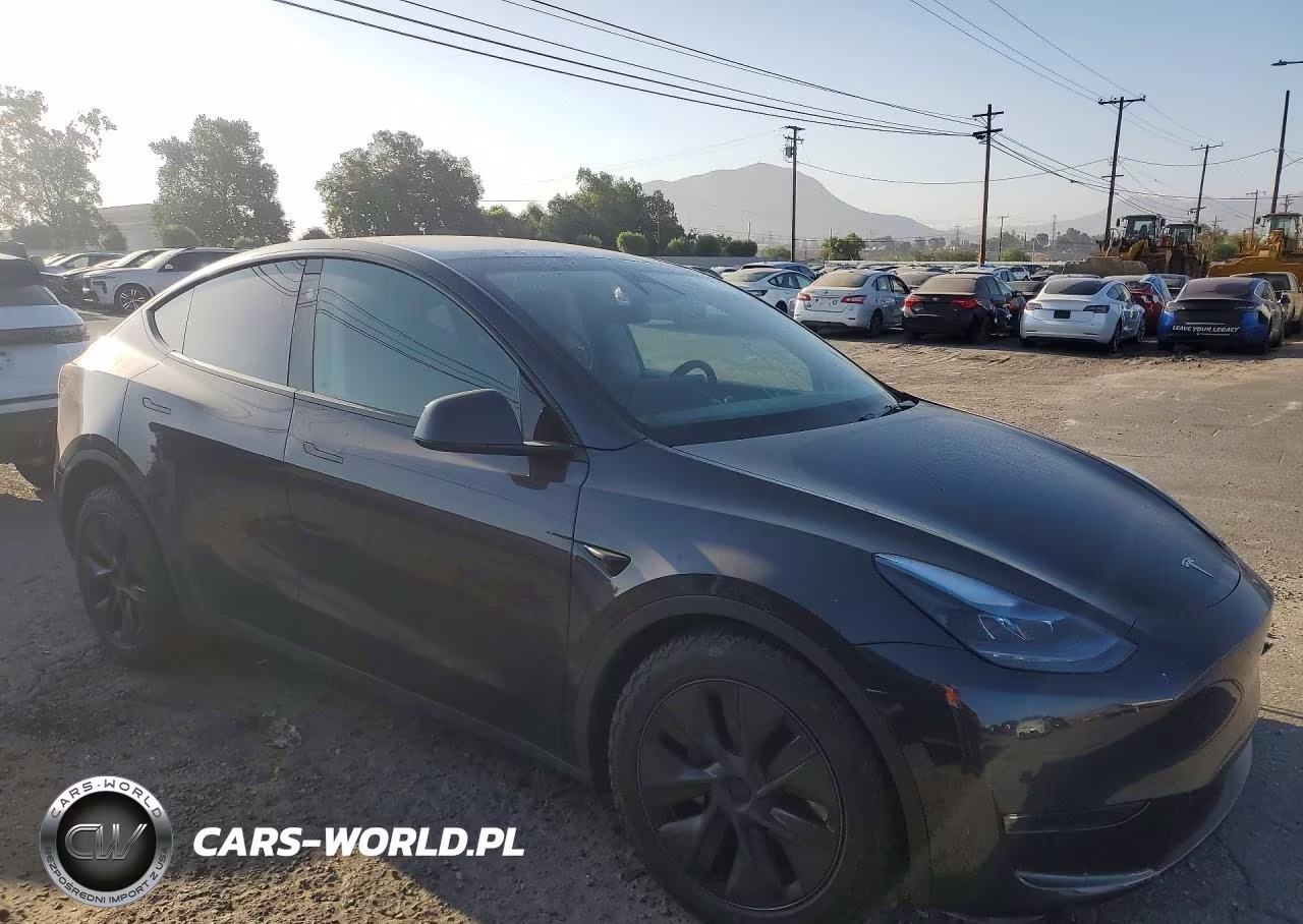 2025 Tesla Model Y VIN:7SAYGDEE0SF216643 - 4