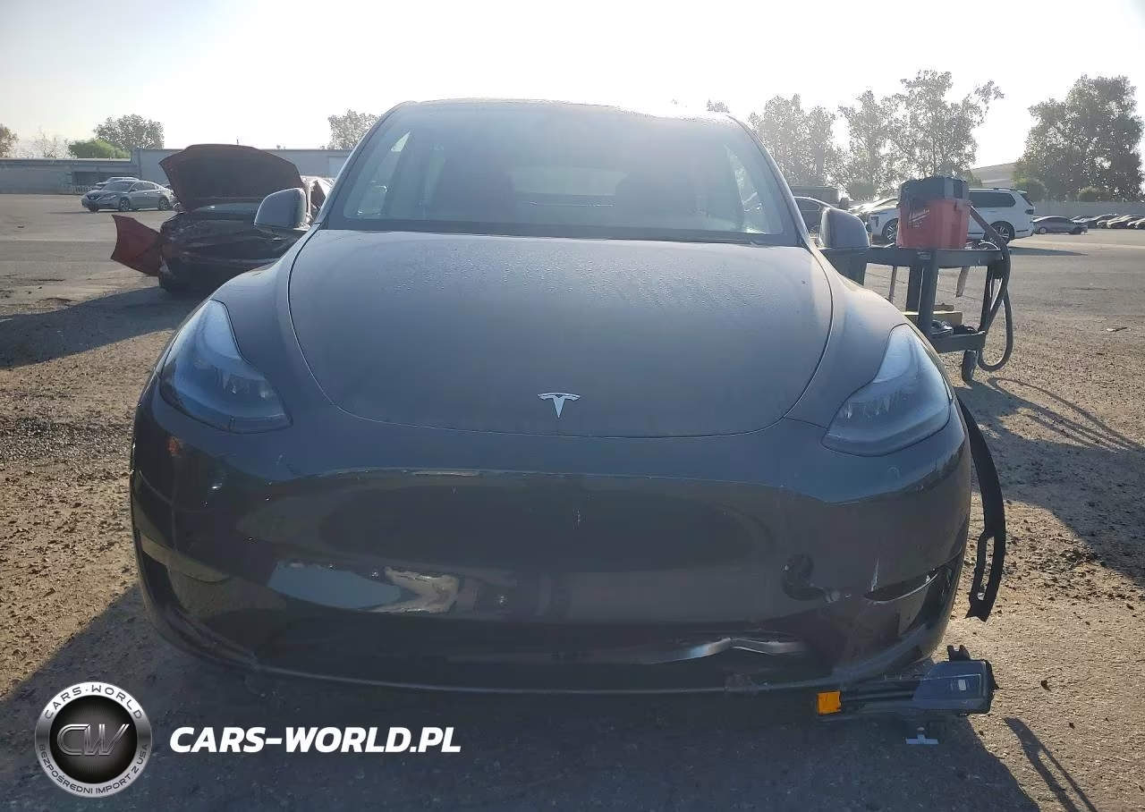 2025 Tesla Model Y VIN:7SAYGDEE0SF216643 - 5